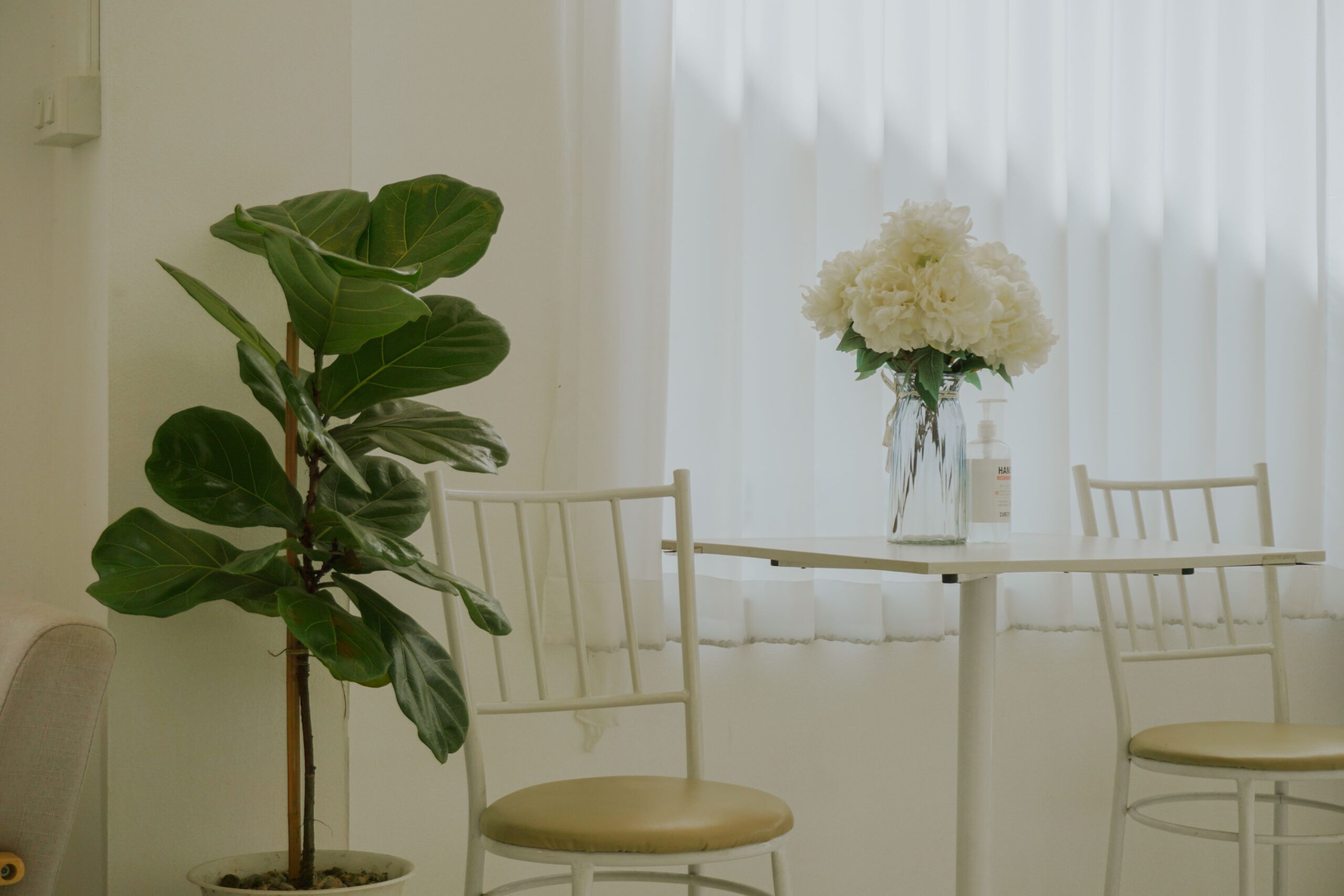 The Faux Fiddle Leaf Fig Tree That Actually Looks Real A serene minimalist interior with a potted plant and a table adorned with white flowers.